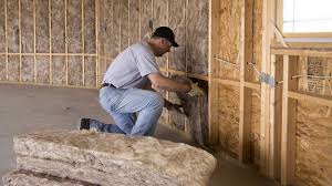 Best Eco-Friendly Insulation Solutions  in Berryville, TX